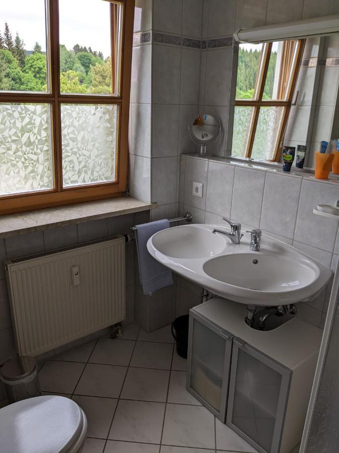 באייריש אייסנשטיין Ferienwohnung Grenzenblick מראה חיצוני תמונה